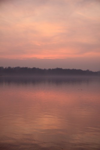 R.Dingeman - dromerige onheil (Gaasperplas) (Large)